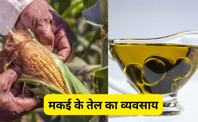 corn-oil-making-business-hindi
