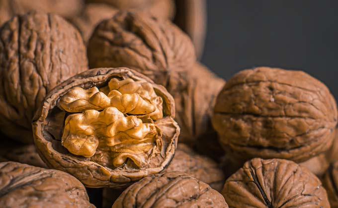 walnut-oil-making-business-hindi